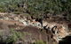 Kwiambal National Park - thumb 1