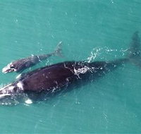 Fazshot Photography - Holiday Adelaide