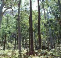 Cathedral Range State Park - Holiday Adelaide