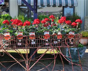 Van Loon's Nursery - Holiday Adelaide 0
