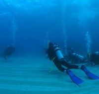 Man and Wife Rocks Dive Site - Holiday Adelaide