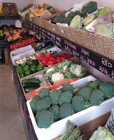 Farmers Harvest - Holiday Adelaide 1