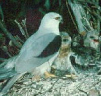 Bushy Park Wetlands - Holiday Adelaide