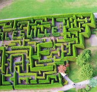 Hedgend Maze and Healesville Laser Sport - Holiday Adelaide