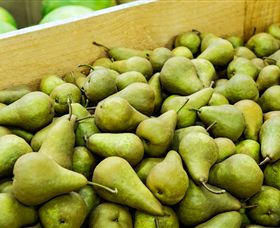 Dandenong Market - Holiday Adelaide 1