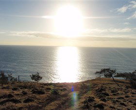 Southend Curtis Island - Holiday Adelaide 1