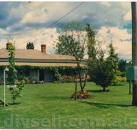 Tumut Valley Violets - Holiday Adelaide