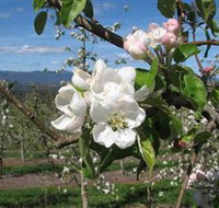 Mouat's Farm - Holiday Adelaide