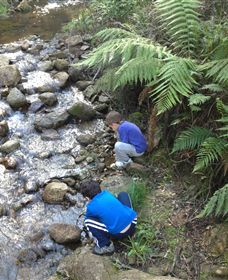 Shelley Forest Camp - Holiday Adelaide 2