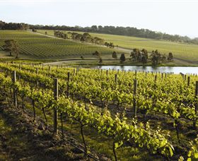 Yabby Lake Vineyard & Cellar Door - Holiday Adelaide 7