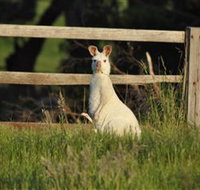 Panorama Garden Estate