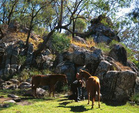  Holiday Adelaide