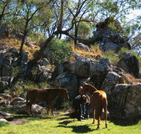Coomba Falls - Holiday Adelaide