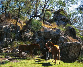 Coomba Falls - Holiday Adelaide 0