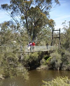 Avon Park - Holiday Adelaide 0