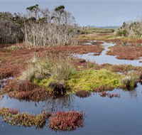 French Island National Park - Holiday Adelaide