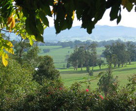 Brandy Creek Wines & View Cafe - Holiday Adelaide 5