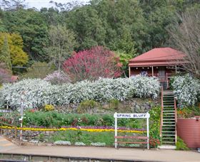 Spring Bluff Railway Station - Holiday Adelaide 1