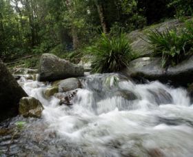 Washpool National Park - Holiday Adelaide 0