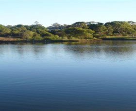 Toowoomba Water Bird Habitat - Holiday Adelaide 2