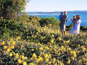 Joseph Banks Conservation Park - Holiday Adelaide 0
