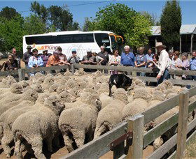 Canberra And Surrounds ACT Holiday Adelaide