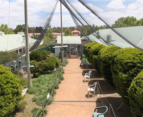Canberra Walk In Aviary - Holiday Adelaide 2