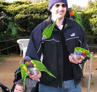 Canberra Walk In Aviary - Holiday Adelaide