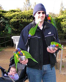 Canberra Walk In Aviary - Holiday Adelaide 0