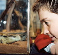 Canberra Reptile Zoo - Holiday Adelaide