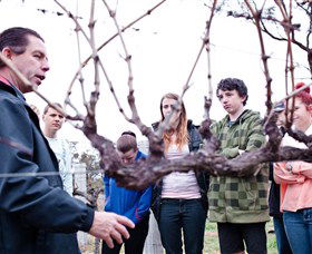 Varias Restaurant And Conference Centre Incorporating Banca Ridge Winery Cellar Door - Holiday Adelaide 3