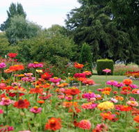 Alma Park - Holiday Adelaide