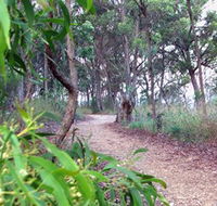 Mount Mutton Walking Trail - Holiday Adelaide