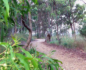 Mount Mutton Walking Trail - Holiday Adelaide 0