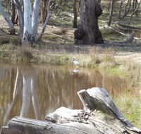 Mulligans Flat - Holiday Adelaide