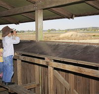 Dangars Lagoon and Racecourse Lagoon - Holiday Adelaide