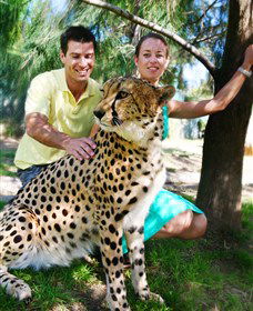 National Zoo & Aquarium - Holiday Adelaide 0