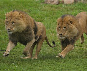 National Zoo & Aquarium - Holiday Adelaide 4