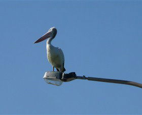 Bailey's Sydney - Tours For People Who Don't Like Tours - Holiday Adelaide 3