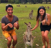 Runaway Tours - Holiday Adelaide