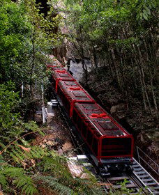 Andersons Tours - Holiday Adelaide 1