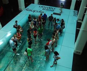 I'm Free Tours - Holiday Adelaide 1