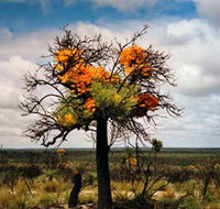 The Delmar Gallery - Holiday Adelaide
