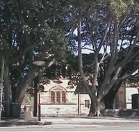 Rozelle Weekend Markets