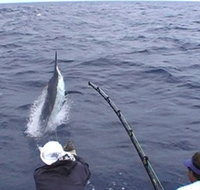 Amokura Charters - Holiday Adelaide