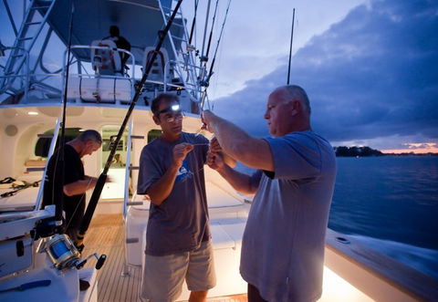 Amokura Charters - Holiday Adelaide 1