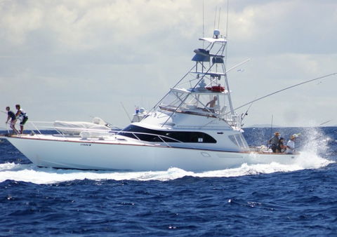 Amokura Charters - Holiday Adelaide 2
