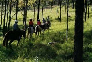 Hunter Valley Horse Riding And Adventures - Holiday Adelaide 0