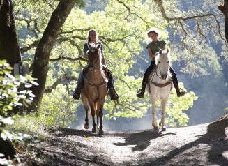 Hunter Valley Horse Riding And Adventures - Holiday Adelaide 1