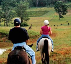Hunter Valley Horse Riding And Adventures - Holiday Adelaide 3